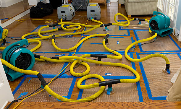 Professional Basement Flood Cleanup technician working in Mt Baldy, CA